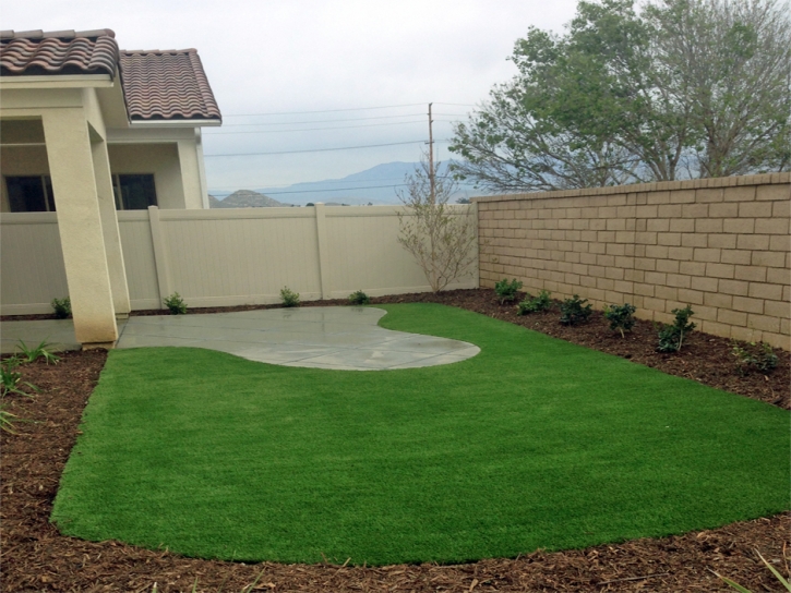 Fake Turf Wittmann, Arizona Landscape Design, Small Backyard Ideas