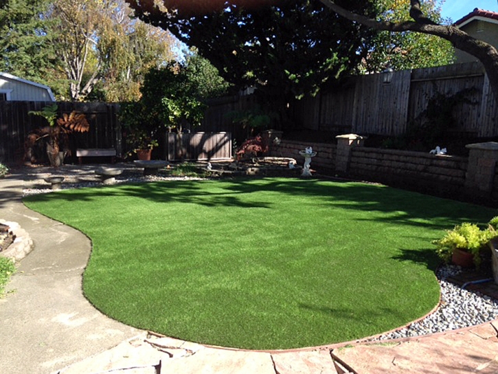 Faux Grass Citrus Park, Arizona Gardeners, Backyard Ideas