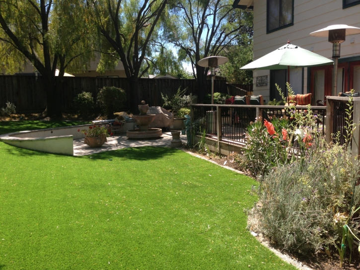 Faux Grass Clay Springs, Arizona Design Ideas, Beautiful Backyards