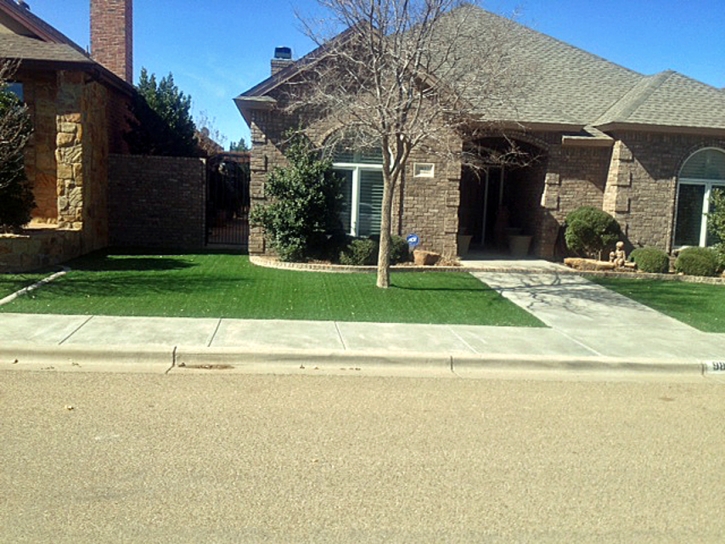 Faux Grass Dateland, Arizona Roof Top, Front Yard Landscaping