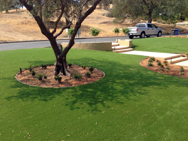 Faux Grass Grand Canyon Village, Arizona Gardeners, Front Yard Landscaping Ideas