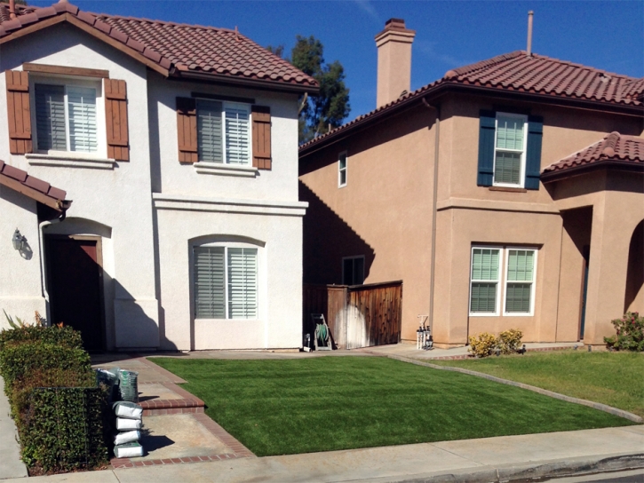 Faux Grass San Luis, Arizona Gardeners, Front Yard Ideas