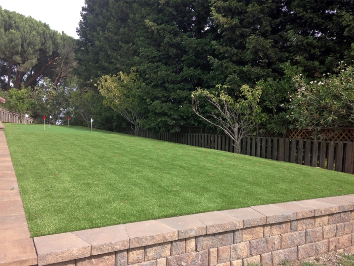 Faux Grass Yarnell, Arizona Outdoor Putting Green, Backyard Designs