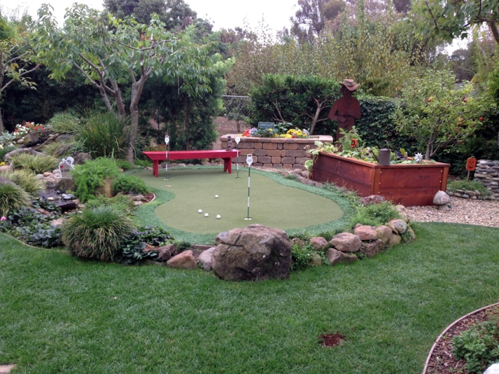 Grass Carpet Cedar Creek, Arizona City Landscape, Small Backyard Ideas