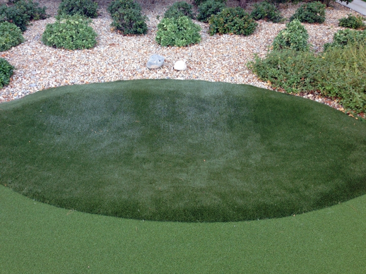 Grass Carpet Cottonwood, Arizona Design Ideas