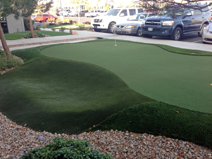 Grass Carpet Drexel Heights, Arizona Lawn And Landscape, Commercial Landscape