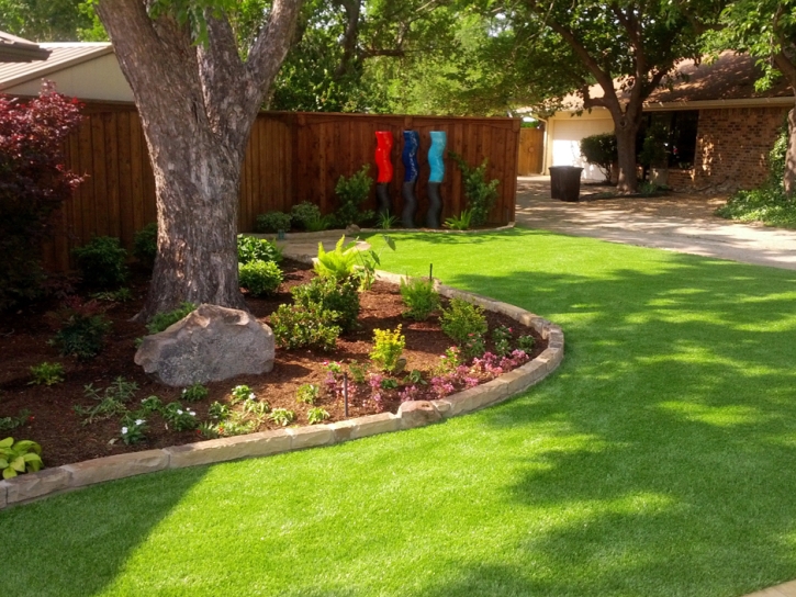 Grass Carpet Elgin, Arizona Roof Top, Backyards