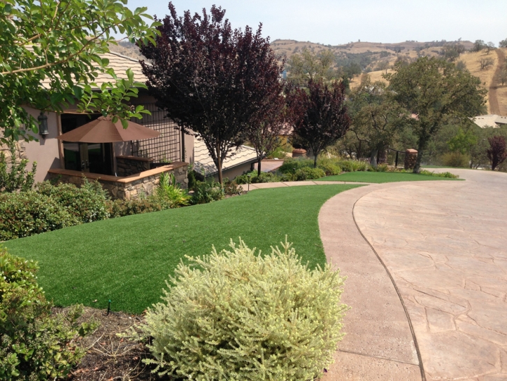 Grass Carpet Fort Apache, Arizona City Landscape, Front Yard Design