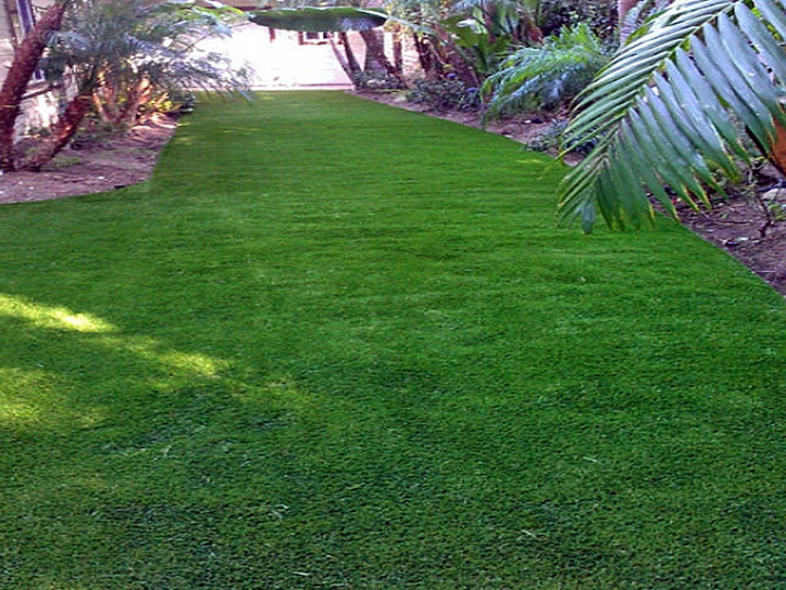 Grass Carpet Hackberry, Arizona Landscape Rock, Backyard Landscape Ideas