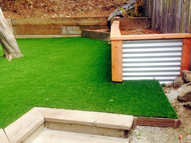 Grass Carpet Houck, Arizona Garden Ideas, Backyard Landscaping Ideas