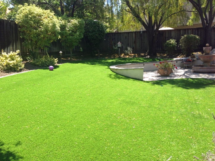 Grass Carpet Kohls Ranch, Arizona Gardeners, Backyard Landscaping