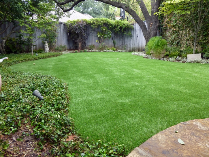 Grass Carpet Parks, Arizona Landscape Design, Backyard Garden Ideas