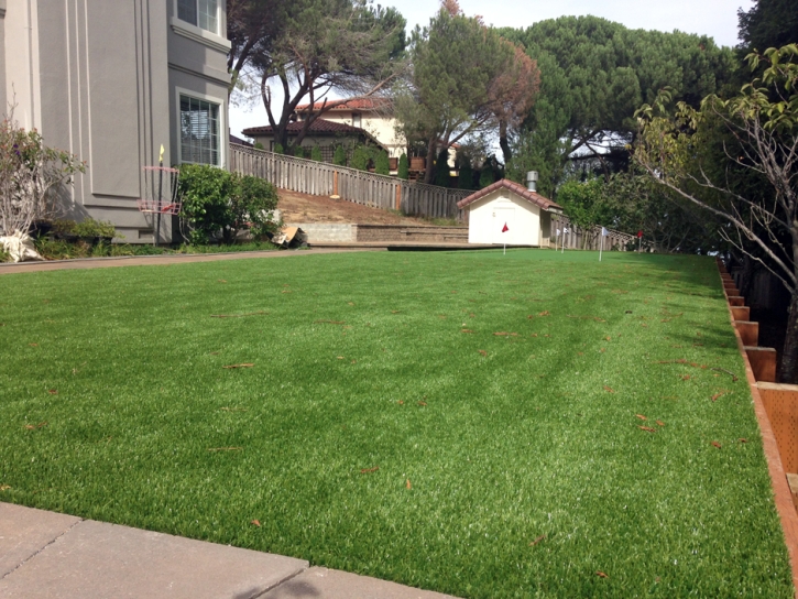 Grass Carpet Red Rock, Arizona Best Indoor Putting Green, Backyard Landscape Ideas