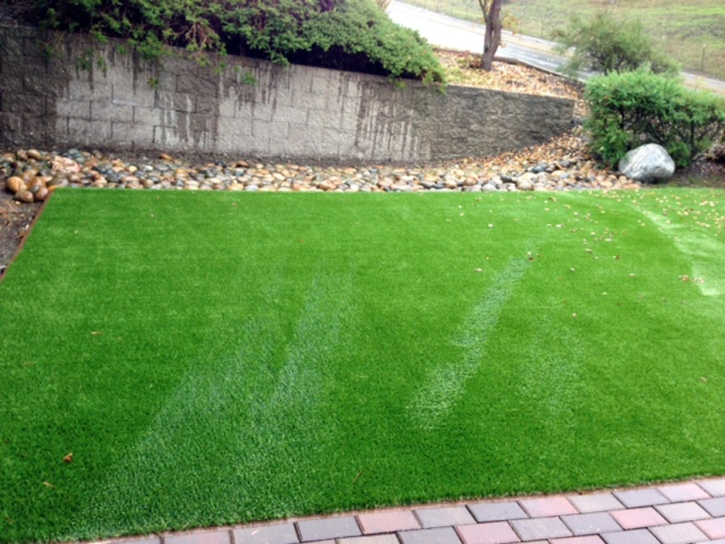 Grass Carpet San Jose, Arizona Rooftop, Front Yard Landscaping