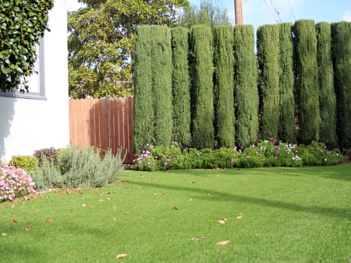 Grass Carpet Second Mesa, Arizona Garden Ideas, Landscaping Ideas For Front Yard