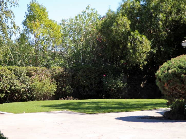 Grass Carpet Star Valley, Arizona Cat Playground, Front Yard Landscaping Ideas