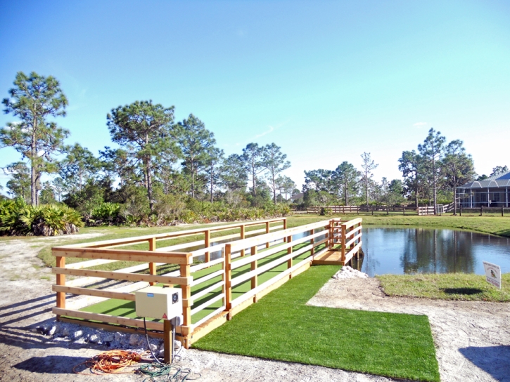 Grass Carpet York, Arizona Landscape Design, Backyard