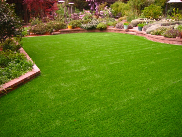 Grass Installation Blackwater, Arizona Landscaping Business, Backyard Ideas