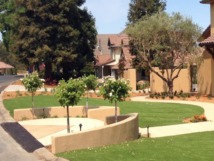 Grass Installation Buckeye, Arizona Landscape Photos, Front Yard Ideas