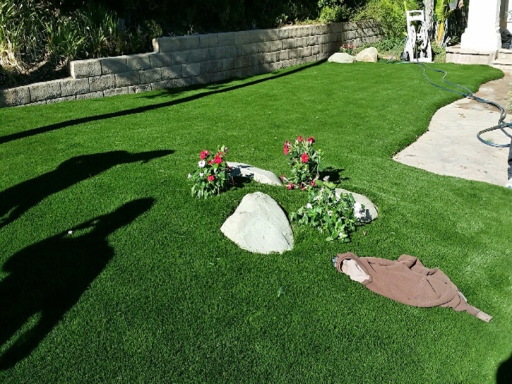 Grass Installation Florence, Arizona Design Ideas, Front Yard Design