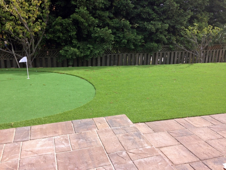 Grass Installation Pima, Arizona Backyard Putting Green, Backyard Design