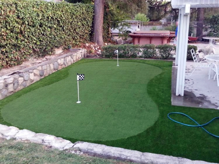 Grass Installation Santa Rosa, Arizona Putting Green Grass, Backyard