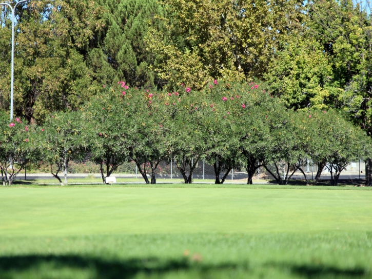 Grass Installation Vaiva Vo, Arizona Lawn And Landscape