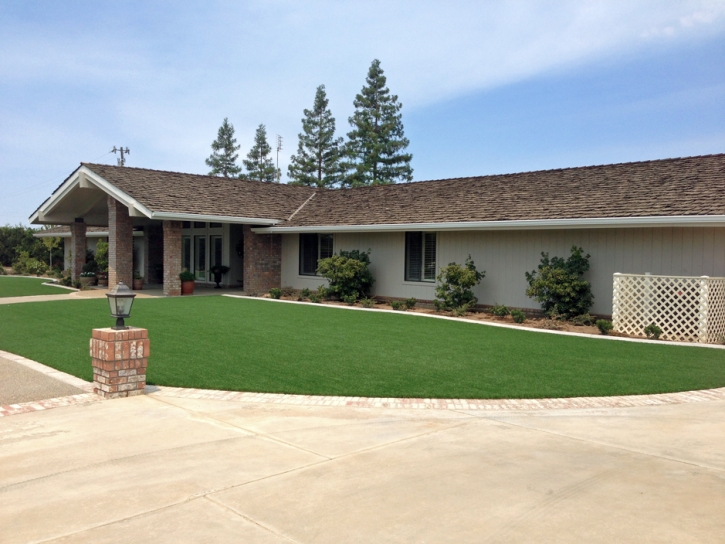 Grass Turf Chiawuli Tak, Arizona Backyard Playground, Front Yard Landscape Ideas