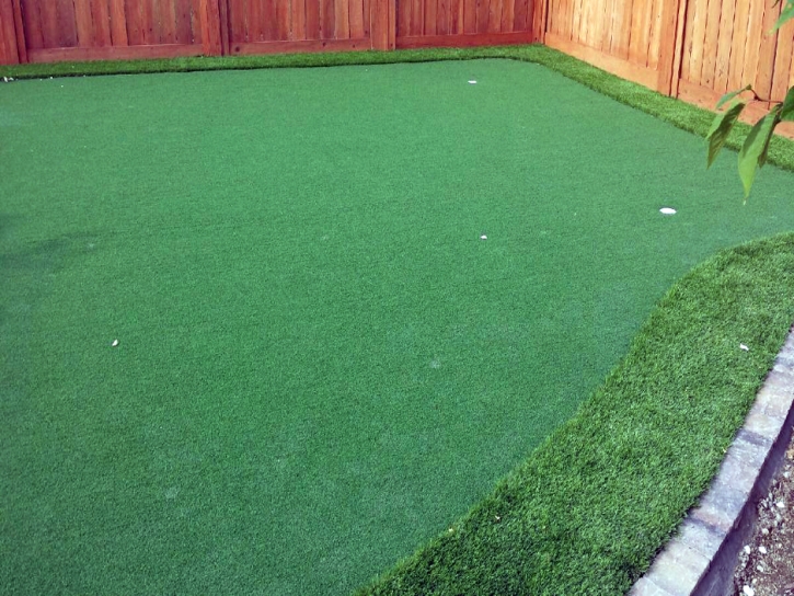 Grass Turf Dragoon, Arizona Office Putting Green, Small Backyard Ideas