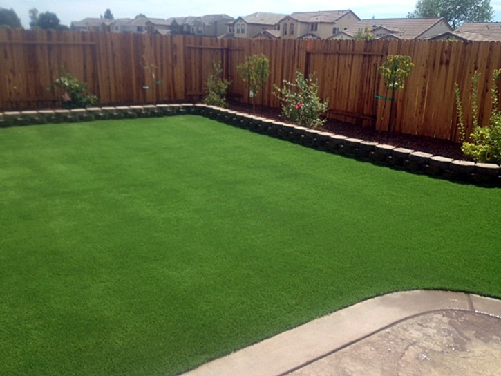 Grass Turf East Fork, Arizona Roof Top, Backyard Makeover