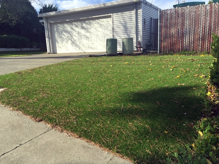 Grass Turf Gold Camp, Arizona Backyard Playground, Front Yard Landscaping Ideas