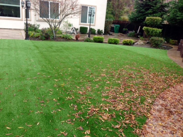 Grass Turf San Miguel, Arizona Landscaping Business, Backyard Landscaping Ideas