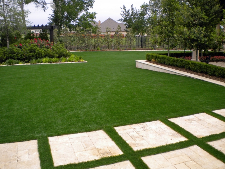 Grass Turf Superior, Arizona Paver Patio, Backyard Ideas