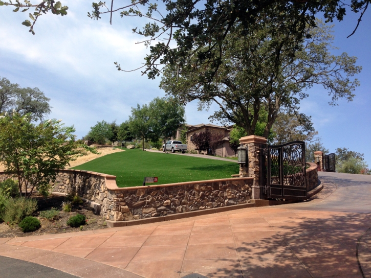 Grass Turf Washington Park, Arizona Gardeners, Front Yard Landscaping