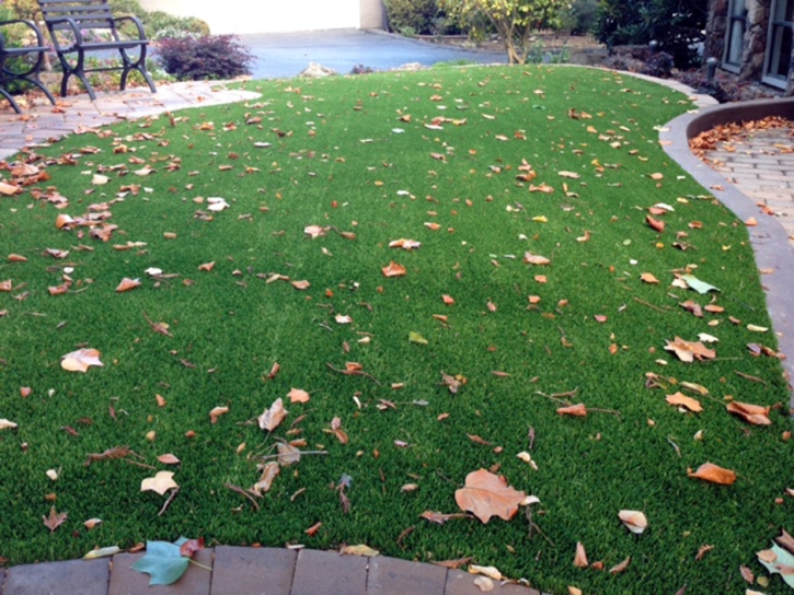 Grass Turf West Winslow, Arizona Landscape Rock, Front Yard Design