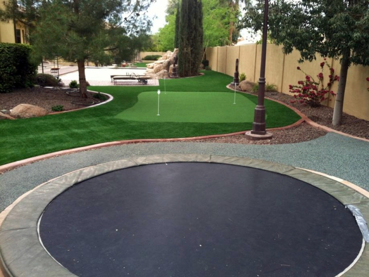 Green Lawn Ash Fork, Arizona Rooftop, Backyard Landscaping Ideas