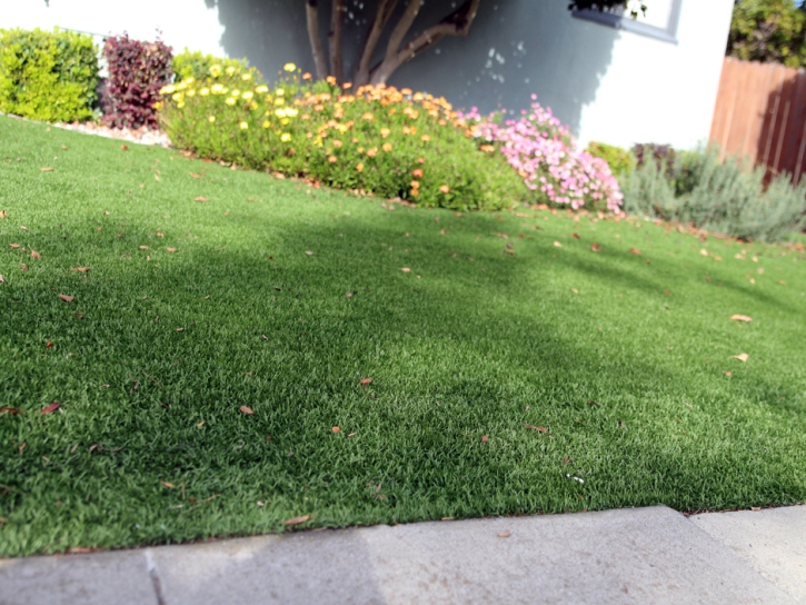 Green Lawn Nogales, Arizona Gardeners, Front Yard Ideas