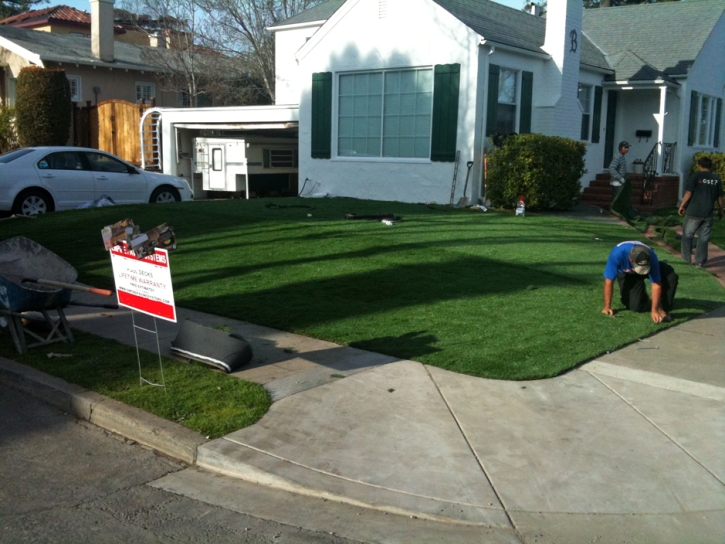 Green Lawn Nolic, Arizona Lawn And Landscape, Landscaping Ideas For Front Yard