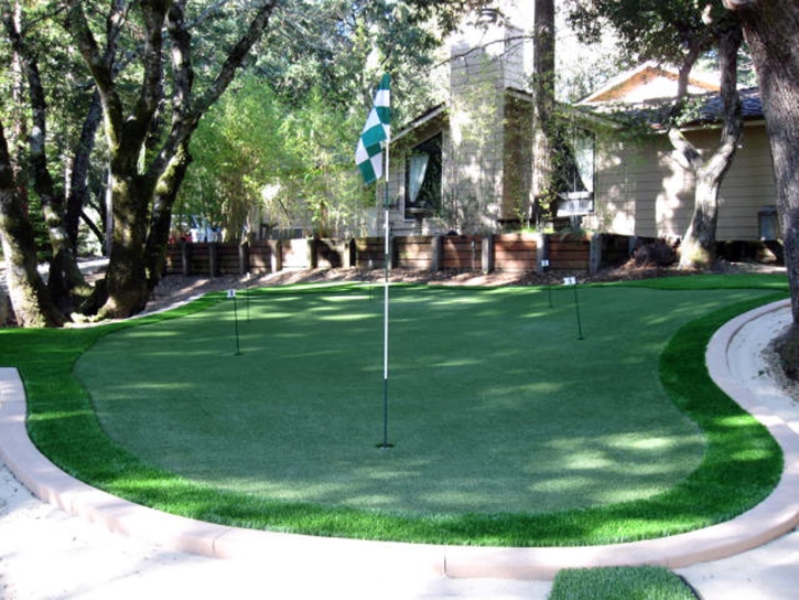 Green Lawn Tempe Junction, Arizona Putting Green Carpet, Backyard