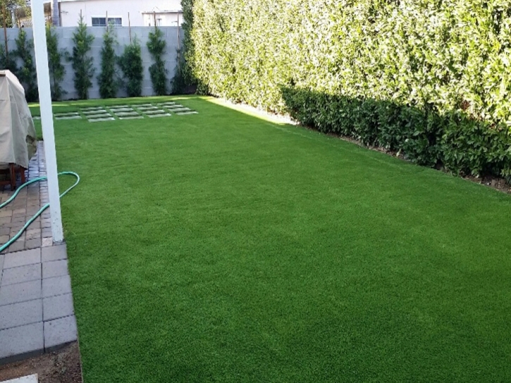 How To Install Artificial Grass Chuichu, Arizona Fake Grass For Dogs, Backyard Makeover