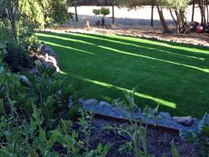 How To Install Artificial Grass Douglas, Arizona Rooftop, Backyard Makeover