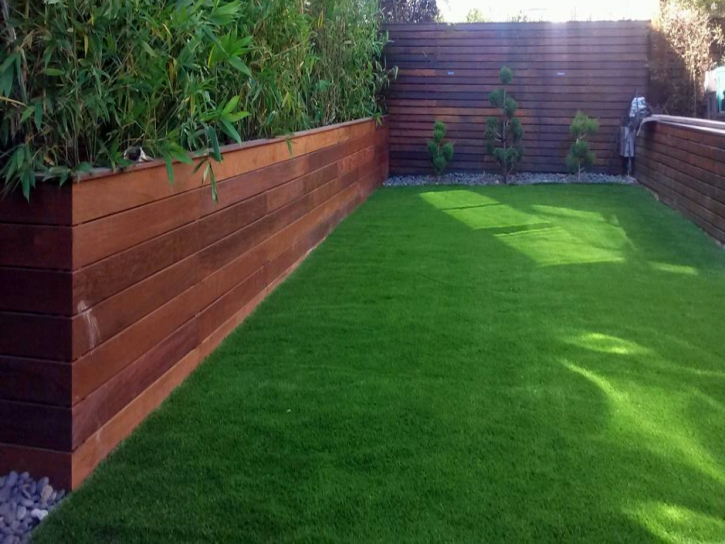 How To Install Artificial Grass Sonoita, Arizona Landscaping Business, Backyard Landscape Ideas