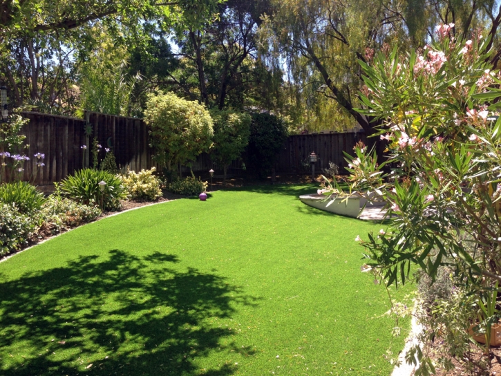 Installing Artificial Grass Anegam, Arizona Backyard Playground, Backyards