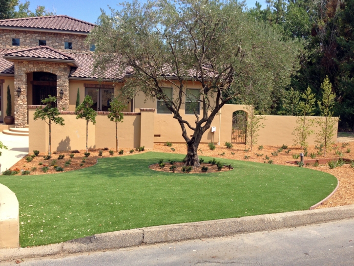 Installing Artificial Grass Heber-Overgaard, Arizona Rooftop, Front Yard Landscaping