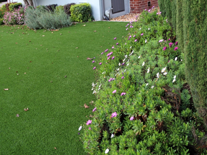 Installing Artificial Grass Shongopovi, Arizona Landscape Ideas, Front Yard Design