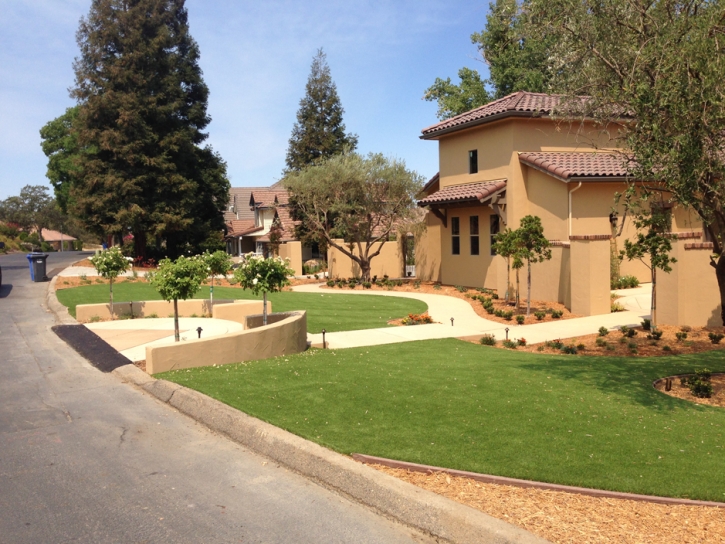 Lawn Services Ali Molina, Arizona Landscaping, Front Yard Landscaping Ideas