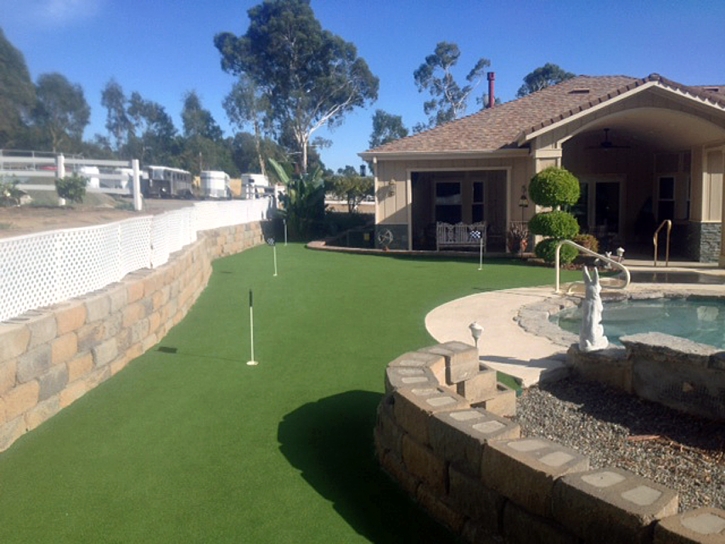 Lawn Services Amado, Arizona Putting Green Turf, Beautiful Backyards