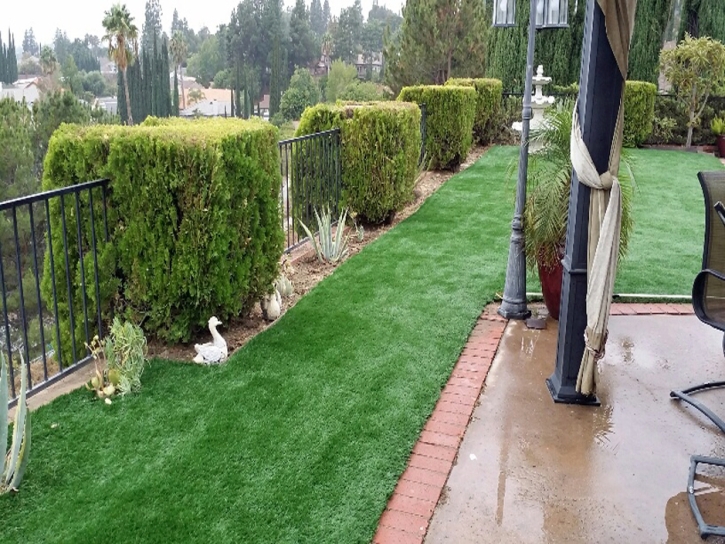 Lawn Services Casa Grande, Arizona Landscape Photos, Backyard Design