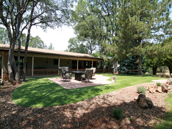 Lawn Services Central Heights-Midland City, Arizona Lawn And Garden, Small Backyard Ideas