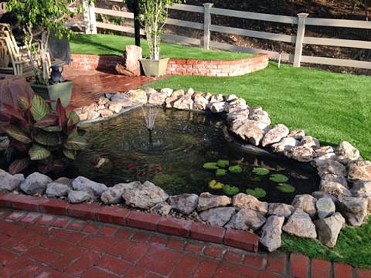 Lawn Services Cienega Springs, Arizona Backyard Playground, Backyard Makeover